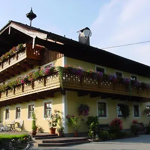 gastehaus-steinerhof.saalbachhinterglemmhotels.com/